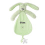 pistachio Rabbit richie Tuttle