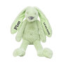 Pistachio Recycled Rabbit Richie tiny met naam 
