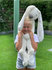 GIANT Rabbit Richie Ivory knuffel met naam (92 cm)_