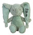 Elephant Eddy met naam