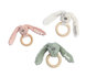 Rabbit Richie FSC Wooden Teething Ring_