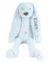 Rabbit Richie tiny blauw knuffel met naam_